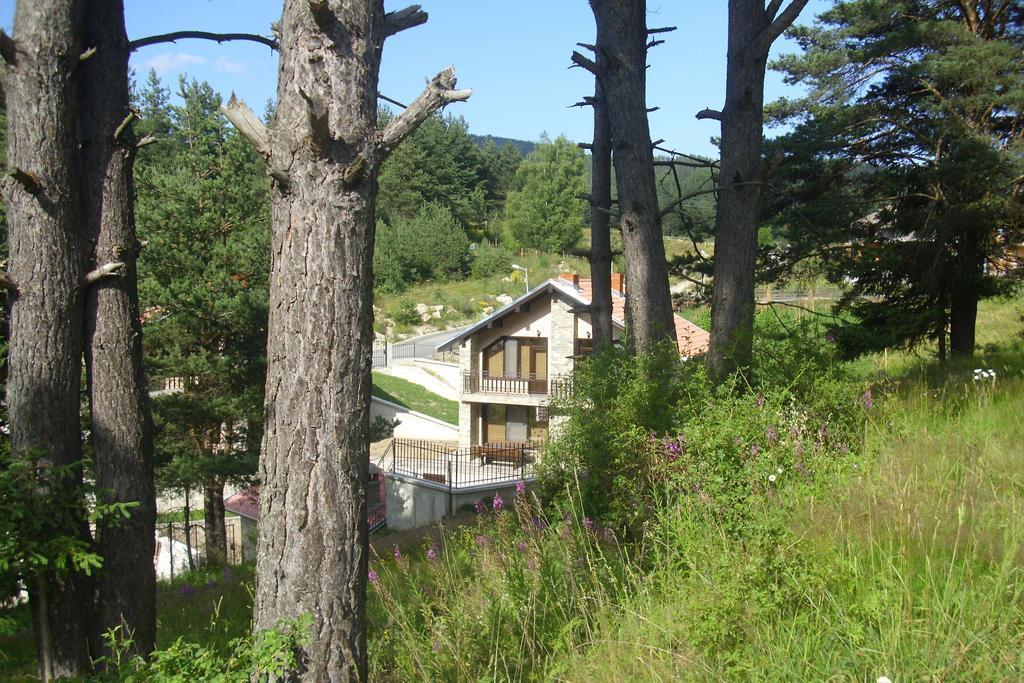 Ваканционна Къща ,,Родопски Уют " Dospat Exterior photo